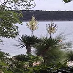 Near Rab * Banjol